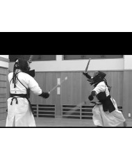 DVD musashi niten ichi ryu kendo
