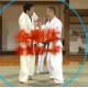 aikido japonais dvd Hatamura