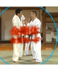 aikido japonais dvd Hatamura