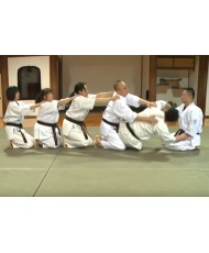 aikido japonais dvd Hatamura