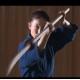 dvd yagyu shinkage ryu naginata 