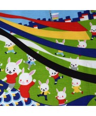 KOBUROSHIKI Koinobori