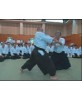 Congreso internacional de Aikido 2008 - YAMADA Yoshimitsu