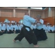 International Aikido congress 2008 - Yoshimitsu Yamada﻿