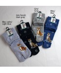 Socks Tabi-SHIBA