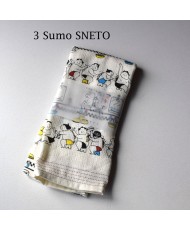 Towel NUNO GOYOMI