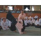DVD International Aikido congress 2008-TAMURA Nobuyoshi