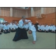 Congreso internacional de Aikido 2008 - YAMADA Yoshimitsu