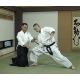 Dekiru Aikido N°1-ANDO Tsuneo