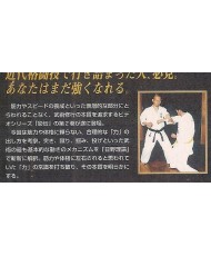 Budo Kageden 2 Hino Akira
