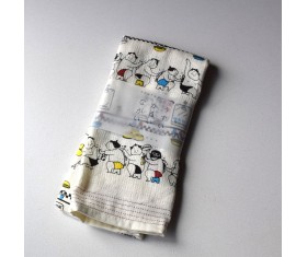 Pañuelo japonés